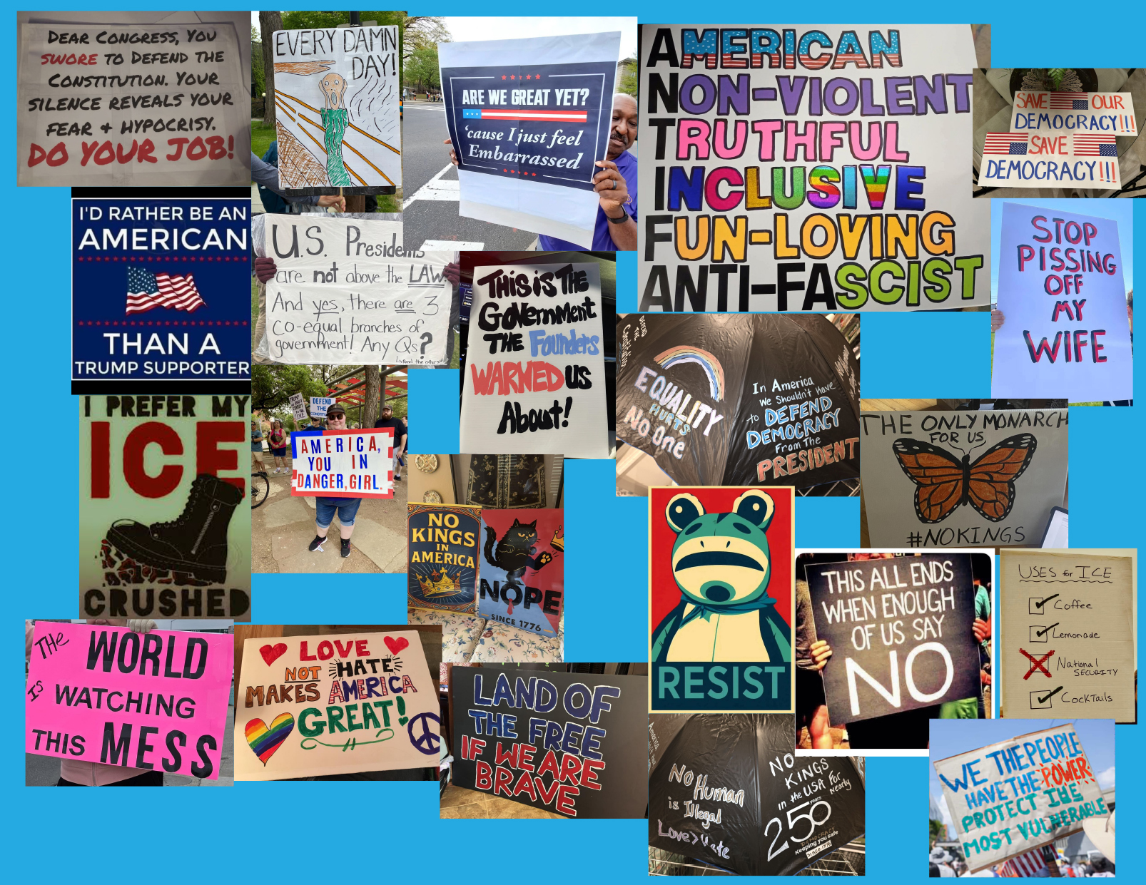 Protest sign collage. Image courtesy of Craig Martin.